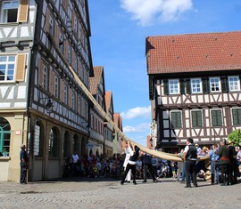 Handdruckspritzengruppe aus Terpe belegt 3. Platz bei den Landesmeisterschaften in Baden-Württemberg