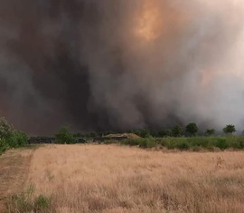 Das Ausmaß des Waldbrandes ist beeindruckend