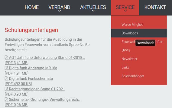 Screenshot www.kfv-spn.de