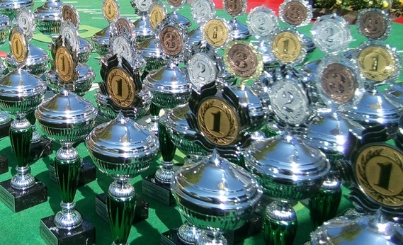 Sympbolbild: Eine Menge Pokale warten drauf, übergeben zu werden