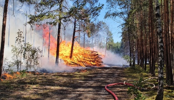 Waldbrand in Groß Kölzig