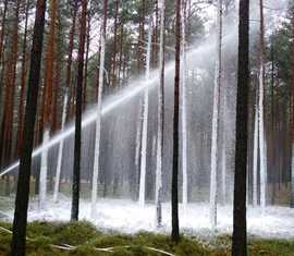 Zur Waldbrandbekämpfung kam Schaum zum Einsatz