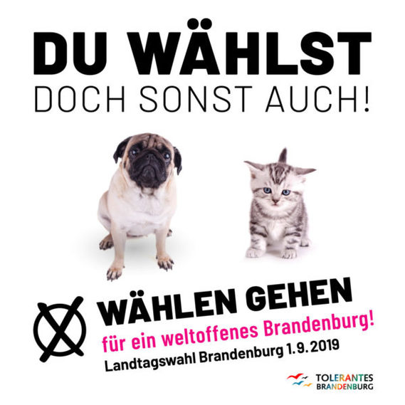 Wir haben die Wahl