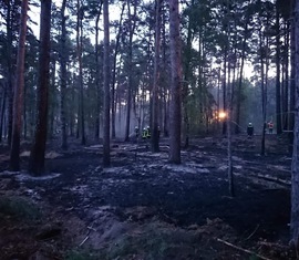 Brandschutzeinheit des Landkreises Spree-Neiße zum Waldbrand nach Treuenbrietzen