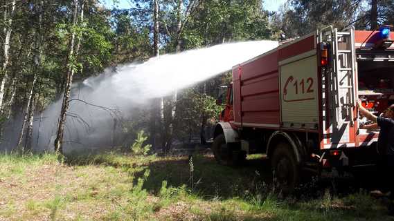 Einsatz der Feuerwehr Forst (Lausitz) in der Lieberoser Heide im Juli 2019