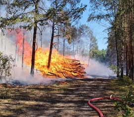 Waldbrand in Groß Kölzig