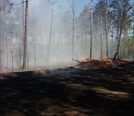 Waldbrand in Groß Kölzig