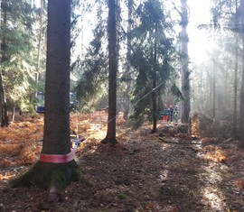 Über eine Rolle an einem Baum soll die Kraft der Seilwinde des GKW I umgelenkt werden