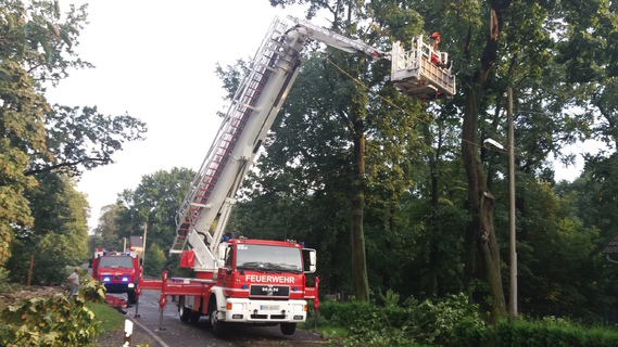 Drehleiter im Einsatz