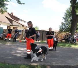 Vorführung der Rettungshundestaffel