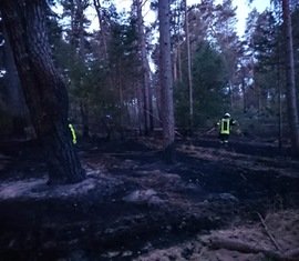 Brandschutzeinheit des Landkreises Spree-Neiße zum Waldbrand nach Treuenbrietzen
