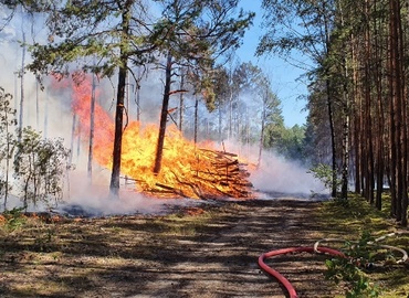 Waldbrand in Groß Kölzig