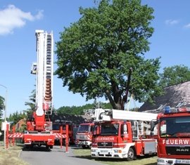 Fahrzeugausstellung