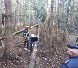 Ausbilder Frank Gühler erläutert Kamerad Ronny Vatter das Vorgehen eines durch Wind umgestürzten Baumes