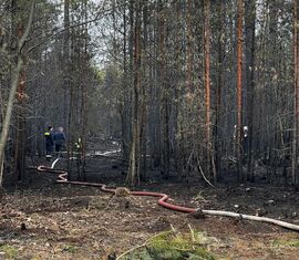 Nachlöscharbeiten am 3.Mai - Bild Mitte:  stellv. KBM Mathias Voigt